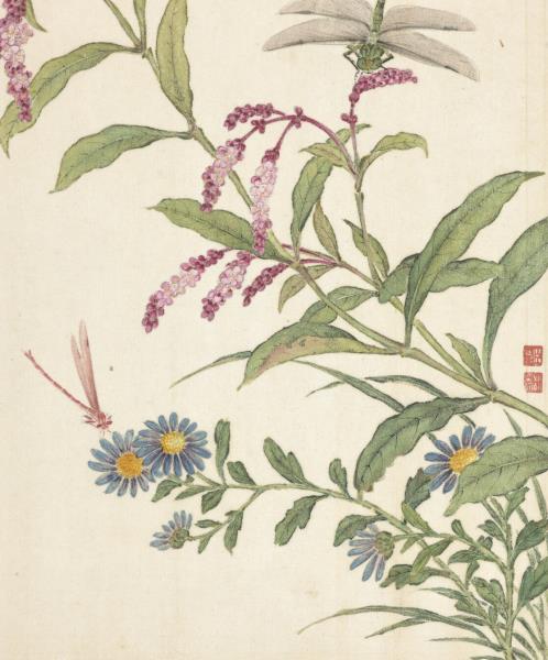 清蔣廷錫張照書畫合璧　冊　紅蓼馬蘭