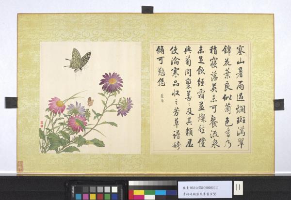 清蔣廷錫張照書畫合璧　冊　藍菊斑爛