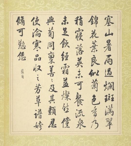 清蔣廷錫張照書畫合璧　冊　藍菊斑爛