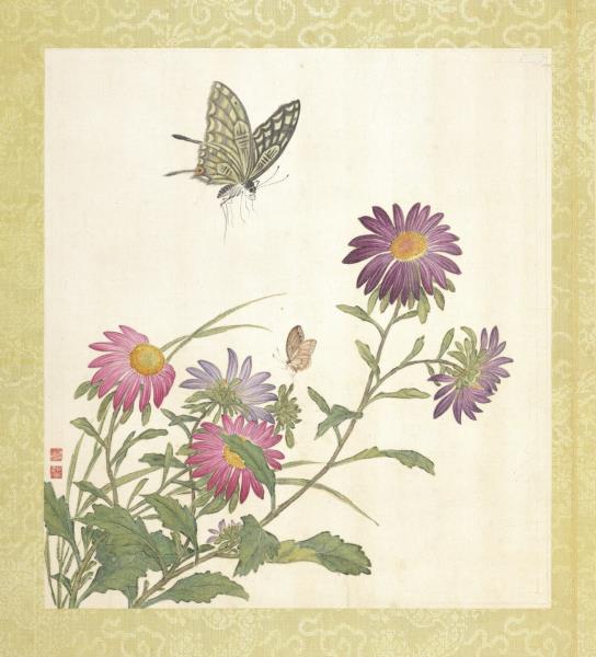 清蔣廷錫張照書畫合璧　冊　藍菊斑爛