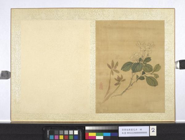 清蔣廷錫畫花卉　冊　蘭花梔子花