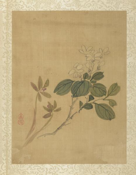 清蔣廷錫畫花卉　冊　蘭花梔子花