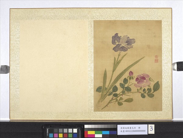 清蔣廷錫畫花卉　冊　薔薇鴛尾