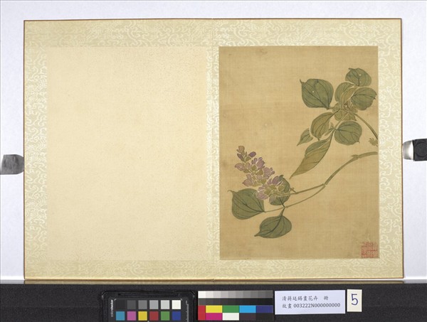 清蔣廷錫畫花卉　冊　紫薇