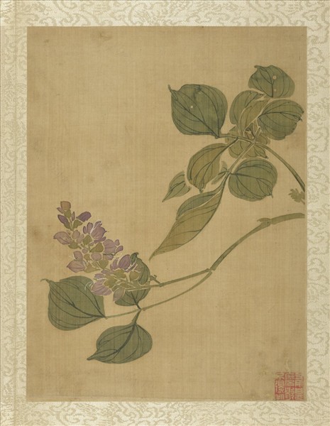 清蔣廷錫畫花卉　冊　紫薇