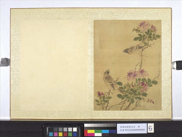 清蔣廷錫畫花卉　冊　玫瑰雙禽