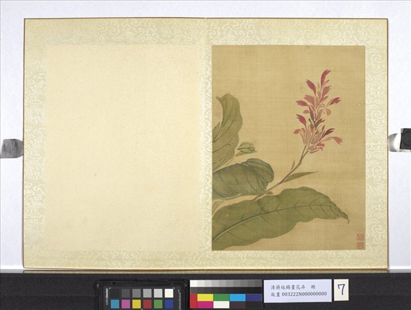 清蔣廷錫畫花卉　冊　美人蕉