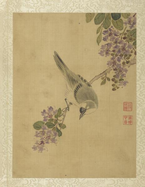 清蔣廷錫畫花卉　冊　紫薇白頭