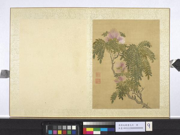 清蔣廷錫畫花卉　冊　合歡（粉撲花）