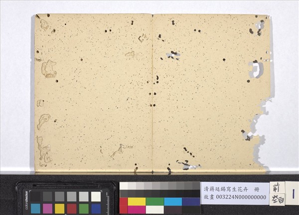 清蔣廷錫寫生花卉　冊