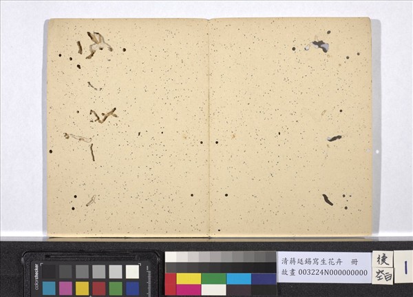 清蔣廷錫寫生花卉　冊