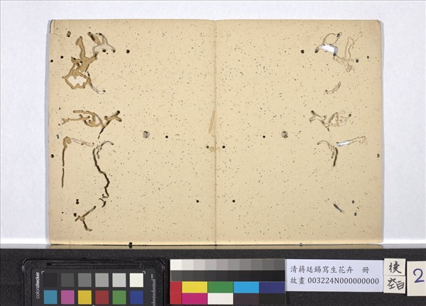 清蔣廷錫寫生花卉　冊
