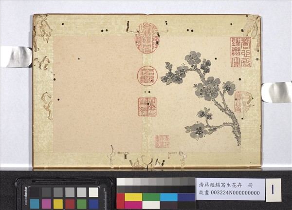 清蔣廷錫寫生花卉　冊　杏花