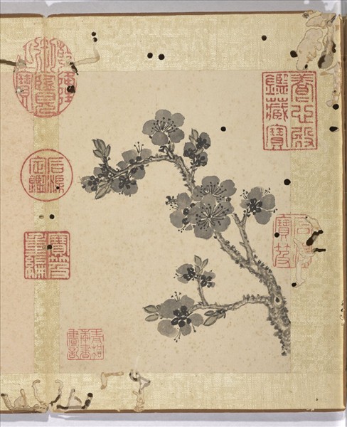 清蔣廷錫寫生花卉　冊　杏花