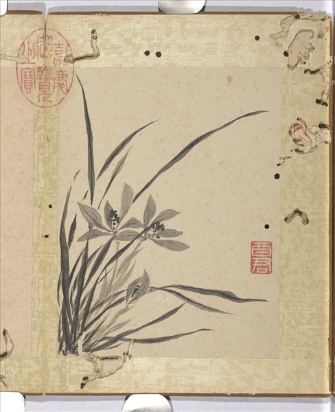 清蔣廷錫寫生花卉　冊　蘭花