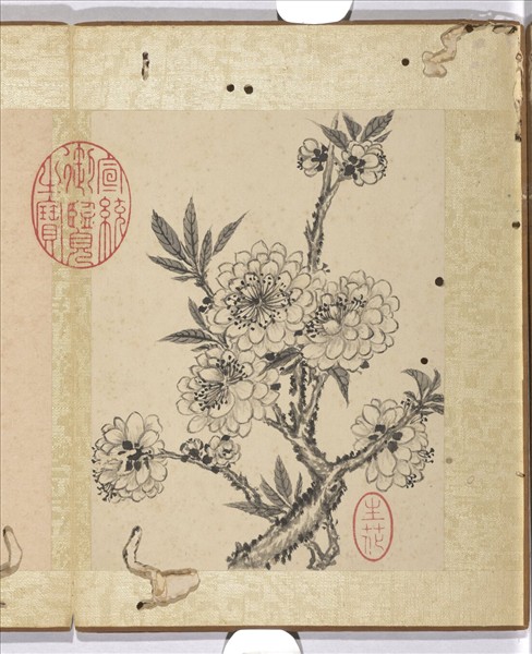 清蔣廷錫寫生花卉　冊　碧桃