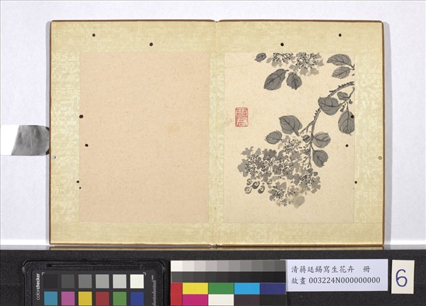 清蔣廷錫寫生花卉　冊　紫薇