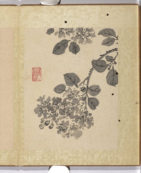 清蔣廷錫寫生花卉　冊　紫薇