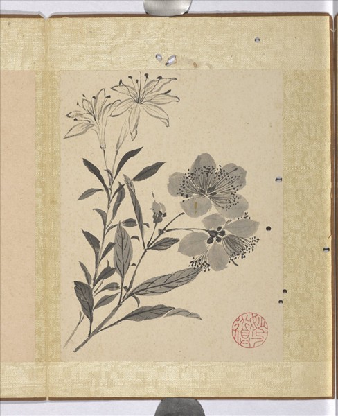 清蔣廷錫寫生花卉　冊　山丹金絲桃