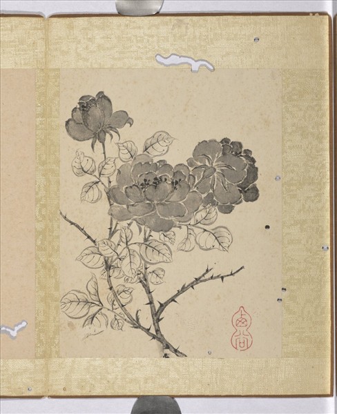 清蔣廷錫寫生花卉　冊　月季