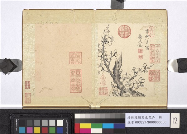 清蔣廷錫寫生花卉　冊　梅花