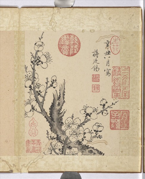 清蔣廷錫寫生花卉　冊　梅花