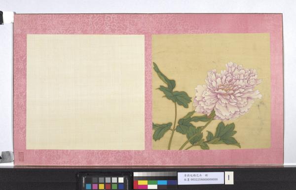 清蔣廷錫花卉　冊　牡丹