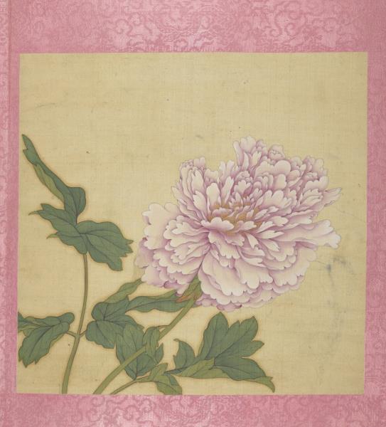 清蔣廷錫花卉　冊　牡丹