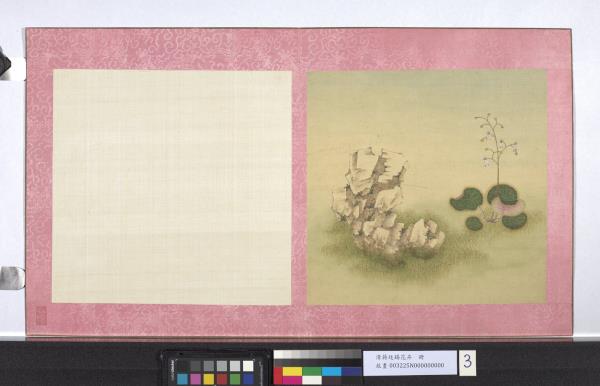 清蔣廷錫花卉　冊　虎耳草