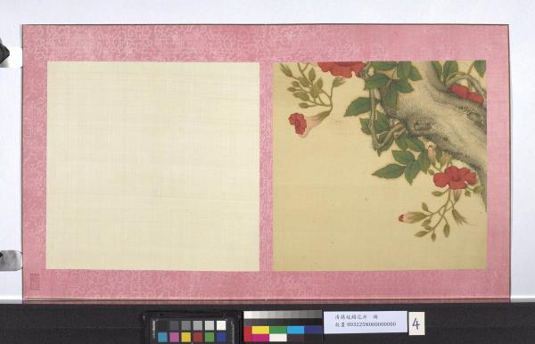 清蔣廷錫花卉　冊　凌霄花