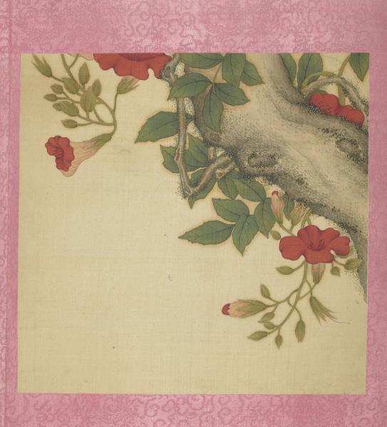 清蔣廷錫花卉　冊　凌霄花