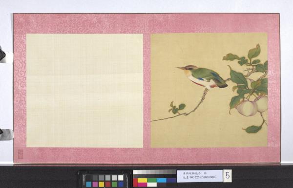 清蔣廷錫花卉　冊　果熟來禽