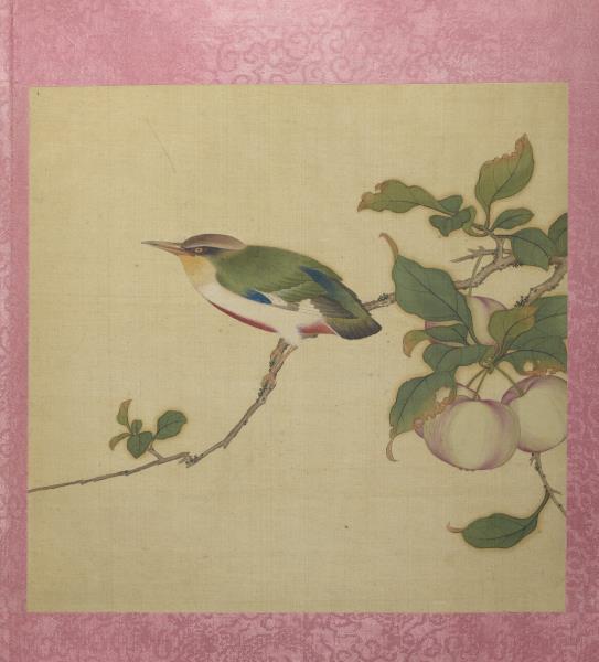 清蔣廷錫花卉　冊　果熟來禽