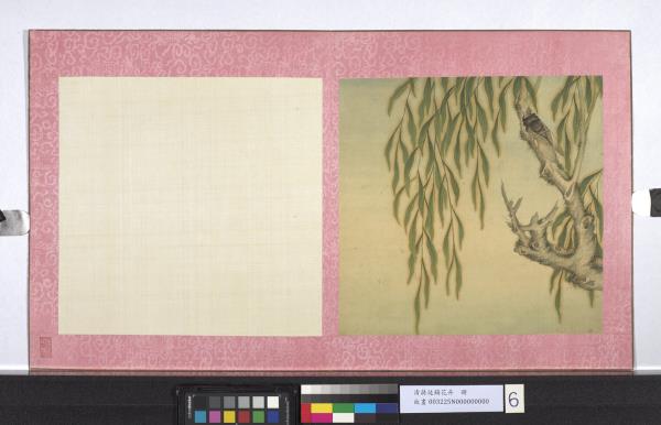 清蔣廷錫花卉　冊　夏蟬圖