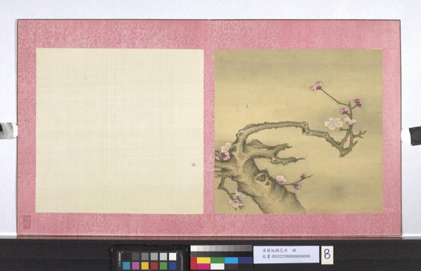 清蔣廷錫花卉　冊　梅花