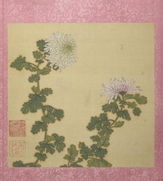 清蔣廷錫花卉　冊　秋菊