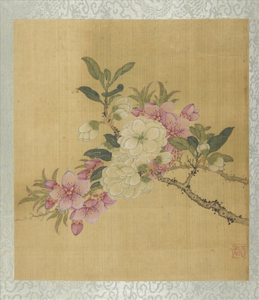 清蔣廷錫花卉草蟲　冊　碧桃