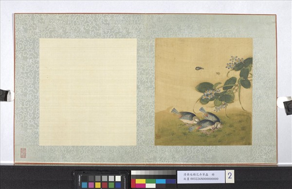 清蔣廷錫花卉草蟲　冊　捕蝶