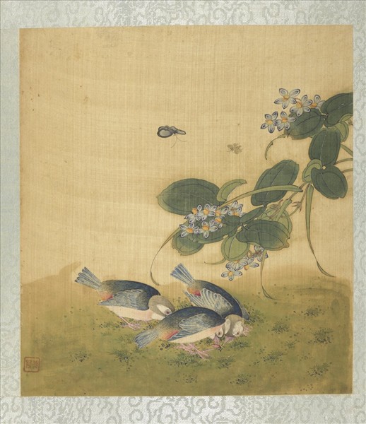 清蔣廷錫花卉草蟲　冊　捕蝶