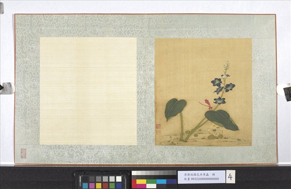 清蔣廷錫花卉草蟲　冊　豆娘