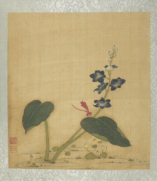 清蔣廷錫花卉草蟲　冊　豆娘