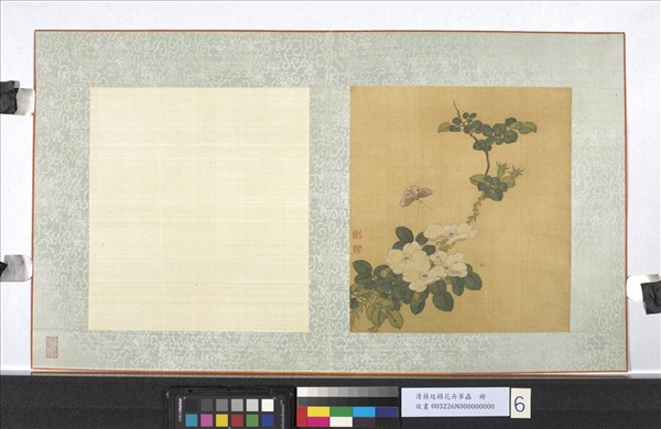 清蔣廷錫花卉草蟲　冊　月季