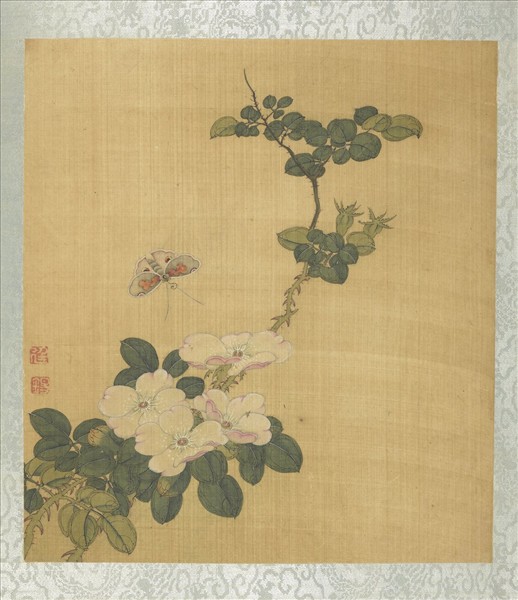 清蔣廷錫花卉草蟲　冊　月季