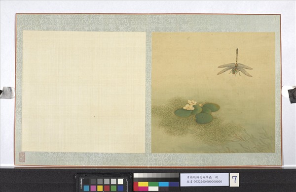 清蔣廷錫花卉草蟲　冊　蜻蜓