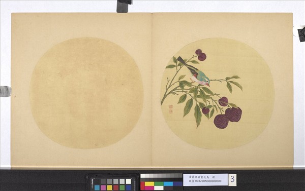 清蔣廷錫畫花鳥　冊　荔枝