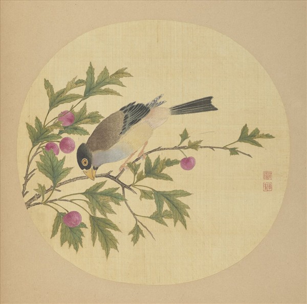 清蔣廷錫畫花鳥　冊　櫻桃