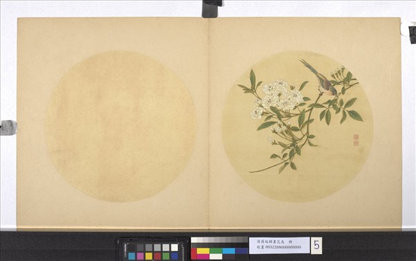 清蔣廷錫畫花鳥　冊　貼梗海棠