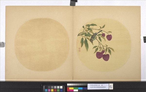 清蔣廷錫畫花鳥　冊　荔枝小禽