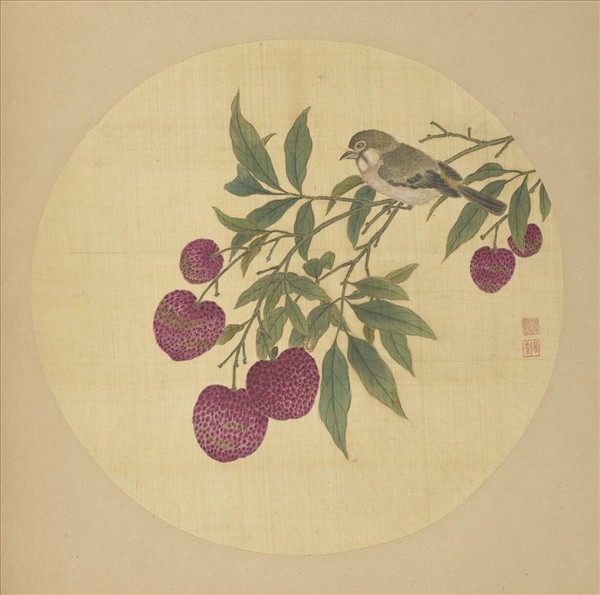 清蔣廷錫畫花鳥　冊　荔枝