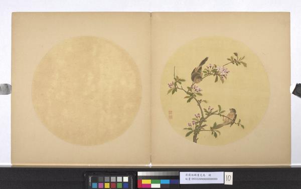 清蔣廷錫畫花鳥　冊　貼梗海棠